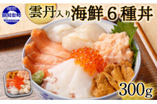 北海道 海鮮丼 6種 《雲丹 入り》 300g前後 1パック 2人前　5746-0379