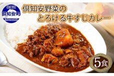 倶知安 牛すじカレー 北海道 計5個 中辛 レトルト食品 加工品 牛すじ 牛肉 5746-0483