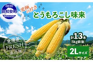 北海道 倶知安町 とうもろこし 味来 みらい 北海道 5kg 2Lサイズ 大きめ 夏野菜 とうきび 