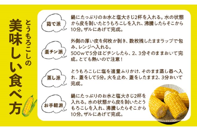 ふるさと納税 「先行予約 2024年 北海道 とうもろこし 味来 みらい 北海道 5kg 2Lサイズ 大きめ 夏野菜」 北海道倶知安町 -  ふるさと納税の「ふるさとぷらす」