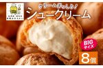 北海道 シュークリーム 2個入り×4袋 計8個 個包装 カスタード クリーム 57460978