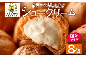 北海道 シュークリーム 2個入り×4袋 計8個 個包装 カスタード クリーム 57460978