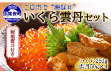 無地熨斗 お店で手作り！北海道産 いくら醤油漬 250g＆雲丹 200g　5746-1003