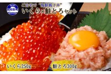 北海道産 いくら醤油漬け 250g 鮭とろ 300g 食べ比べ 計2個　5746-1035