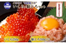 無地熨斗 北海道産 いくら醤油漬け 鮭とろ おかず 冷凍 計3個 セット　5746-1045
