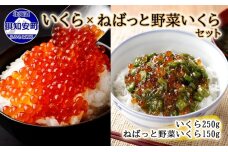 北海道産 いくら醤油漬け250g＆ねばっと野菜いくら 150g　5746-1065