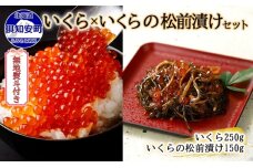 無地熨斗 北海道産 いくら醤油漬け 250g＆いくらの松前漬け 150g　5746-1067