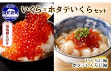 無地熨斗 北海道産 いくら醤油漬け 250g＆ホタテいくら150g　5746-1068