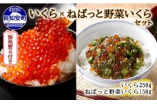 無地熨斗 北海道産 いくら醤油漬け250g＆ねばっと野菜いくら 150g　5746-1069