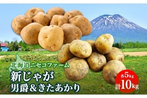 北海道産 越冬 じゃがいも 2種 詰め合わせ 男爵 きたあかり 各5kg 計10kg M-L サイズ