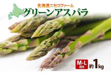 【 2025年 先行予約 】 北海道産 グリーン アスパラガス 約1kg M - L サイズ混合