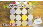 北海道 Ruhiel 完熟フルーツジェラート 120ml 16個セット アイス  詰め合わせフルーツ