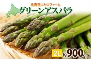 【 2026年 発送 】 北海道産 グリーン アスパラガス 約 900g 2L アスパラガス