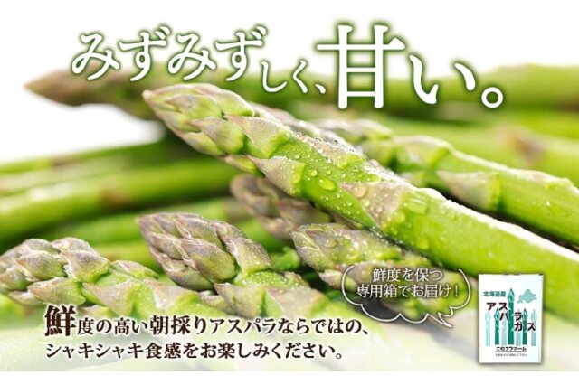 ふるさと納税 「【 2025年 先行予約 】 北海道産 グリーン