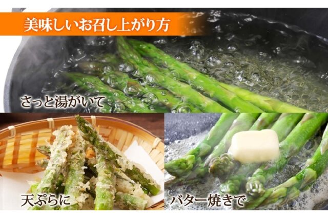 リチャードジノリ　アスパラガスディッシュ（アスパラガスプラター） リチャードジノリ アスパラガスディッシュ（アスパラガスプラター