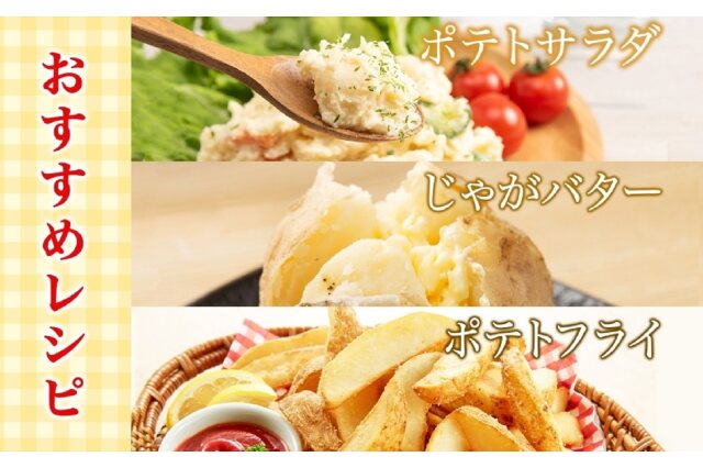 ヤマモモ 2kg 特大サイズ 中サイズ小ぶり込み 山崎産業株式会社｜リサイクルボックスMT L2
