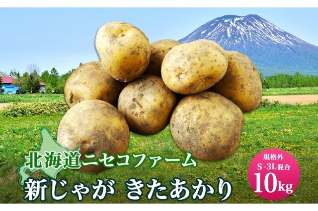 ふるさと納税 「北海道産 じゃがいも きたあかり 10kg 規格外 訳あり S-3L サイズ混合 新じゃが 芋 ジャ」 北海道倶知安町 -  ふるさと納税の「ふるさとぷらす」