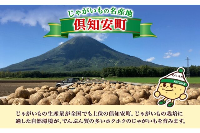 ふるさと納税 「北海道産 じゃがいも きたあかり 10kg 規格外 訳あり S