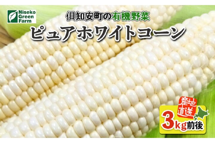 ふるさと納税 有機ピュアホワイトコーン3kg 北海道倶知安町 ふるさと納税の ふるさとぷらす