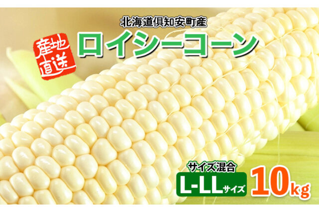 ふるさと納税 北海道 倶知安町 先行受付北海道 倶知安 カレー 4種 食べ比べ 各5個 計20個 中辛 スープカレー ビーフカレー ポークカ… ふるさと納税 倶知安町 2026年 先行受付 北海道 アスパラガス グリーン