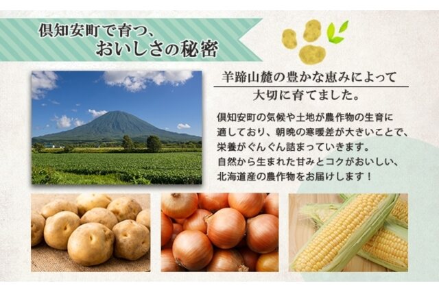 ふるさと納税 「北海道産 道塚農園 じゃがいも 北あかり 計10kg前後 L-LLサイズ ジャガイモ きたあかり キ」 北海道倶知安町 -  ふるさと納税の「ふるさとぷらす」