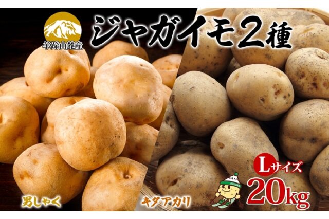 ふるさと納税 「北海道産じゃがいも 男爵 キタアカリ各約10kg Lサイズ