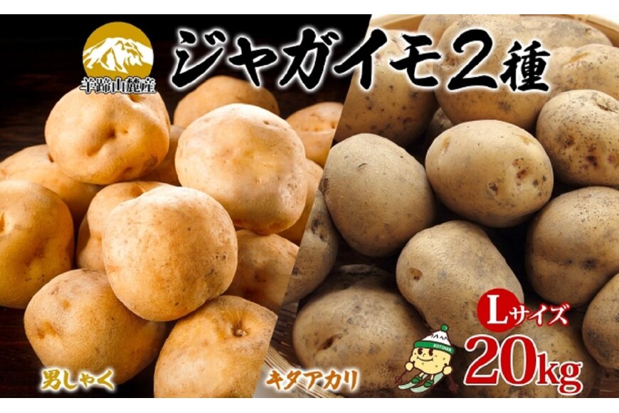 北海道産じゃがいも 男爵 キタアカリ各約10kg Lサイズ 57461348