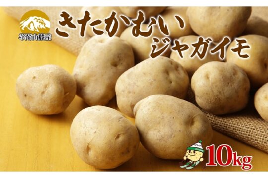 北海道産 じゃがいも きたかむい 約10kg Lサイズ ジャガイモ キタカムイ 馬鈴薯 いも ポテト