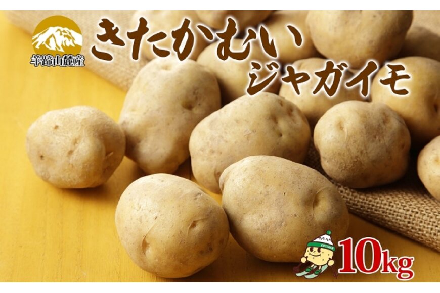 北海道産 じゃがいも きたかむい 約10kg Lサイズ ジャガイモ キタカムイ 馬鈴薯 いも ポテト