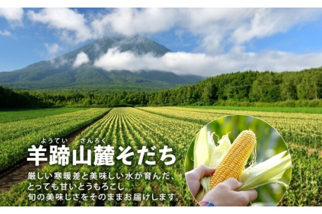 トウモロコシの実様 リクエスト 2点 まとめ商品 もろこし様 リクエスト 2点 まとめ商品（金木犀様 リクエスト 2