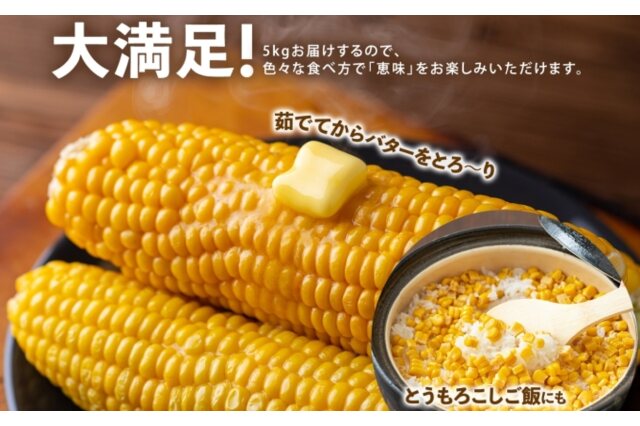 ふるさと納税 「とうもろこし 恵味 めぐみ 北海道 5kg 2Lサイズ