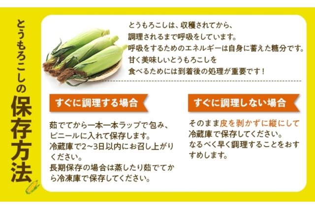 ふきのとう 5kg以上 令和6年産小豆5kg「JAおとふけ」【A47】 - 北海道音更町