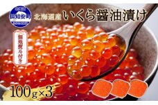 無地熨斗 北海道産 いくら醤油漬け 100g×3パック 計300g 小分け パック イクラ 海鮮