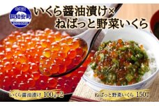 予約受付 北海道産 いくら醤油漬け 100g×2 ねばっと野菜いくら 150g　57461434