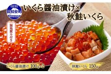 無地熨斗 予約受付 北海道産 いくら醤油漬け 100g×2 秋鮭いくら 150g　57461440