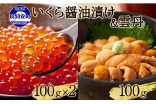 予約受付 北海道産 いくら醤油漬け 100g×2 雲丹 100g セット 小分け　57461447