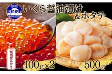 無地熨斗 予約受付 北海道産 いくら醤油漬け 100g×2 帆立 500g 小分け　57461452