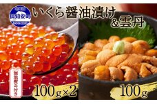 無地熨斗 予約受付 北海道産 いくら醤油漬け 100g×2 雲丹 100g 小分け　57461454