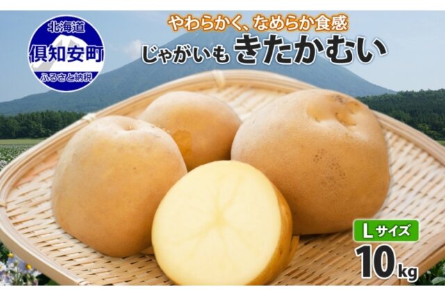 ふるさと納税 「北海道産 じゃがいも きたかむい Lサイズ 10kg 馬鈴薯 キタカムイ 57461366」 北海道倶知安町 -  ふるさと納税の「ふるさとぷらす」