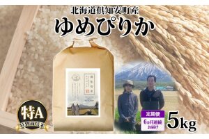 定期便 6ヵ月連続 全6回 北海道 倶知安町産 ゆめぴりか 特別栽培米 精米 5kg 米 特A