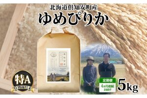 定期便 4ヵ月連続 全4回 北海道 倶知安町産 ゆめぴりか 特別栽培米 精米 5kg 米 特A 白米