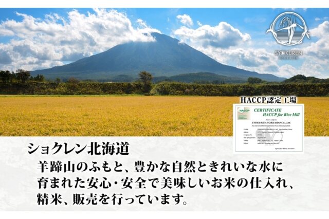 ふるさと納税 「北海道 定期便 3ヵ月連続 令和5年産 倶知安町産 ゆめ