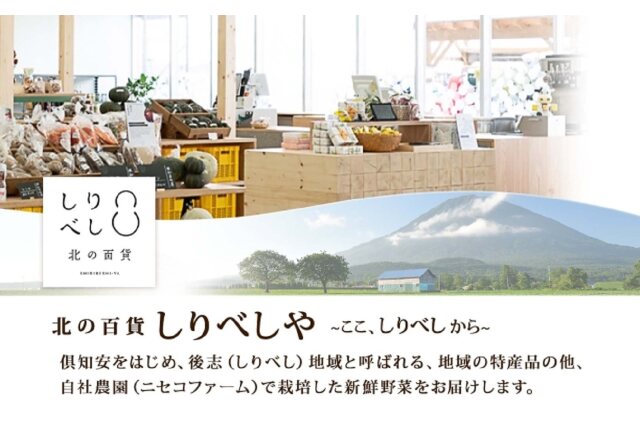 ふるさと納税 「【 2025年 先行予約 】 北海道産 とうもろこし
