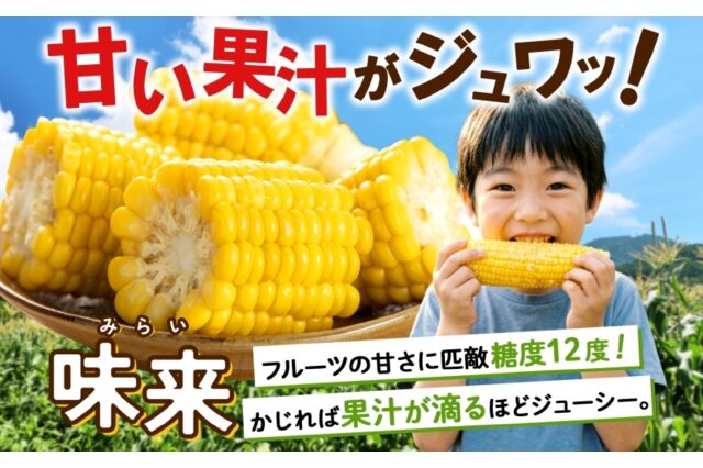 ふるさと納税 「【 2026年 出荷 】 北海道産 朝もぎ イエロー