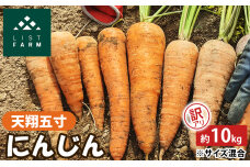 【訳アリ】人参 約10kg 9月収穫予定 リストファーム サイズ 混合 天翔五寸　57461894