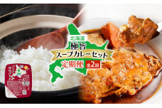 北海道 極旨 スープカレー セット 全2回　チキンレッグスープカレー パックごはん　57462043