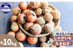 【2026年発送】 オーガニック じゃがたま BOX 約10kg　57462056