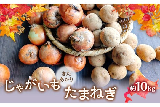 【2026年発送】 オーガニック じゃがたま BOX 約10kg　57462056
