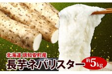 【 2026年 出荷 】 北海道 倶知安町産 ネバリスター 計5kg　57462080