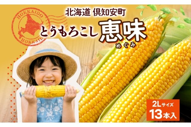 ふるさと納税 「朝もぎ イエロー とうもろこし 恵味 2Lサイズ 13本 約